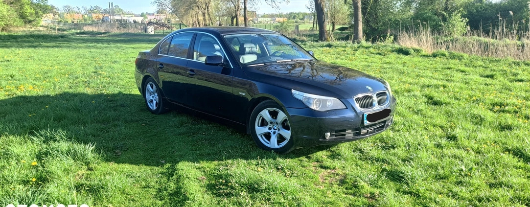 BMW Seria 5 cena 31900 przebieg: 349000, rok produkcji 2003 z Bydgoszcz małe 301